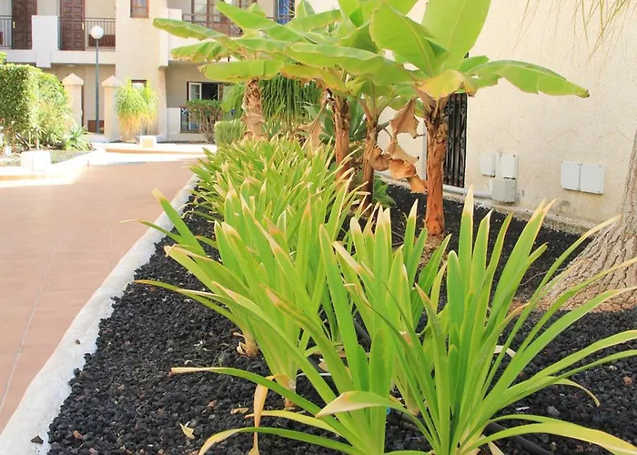 Americas - 2 Bedrooms - Flayla-a