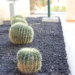 Americas - 2 Bedrooms - Flayla-a *